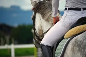 Bryczesy damskie
